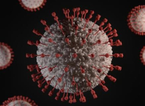 Enfermedad de Castleman y VIH: focus en el virus HHV-8