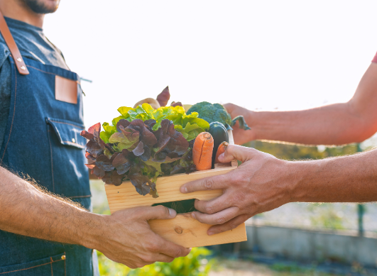 ¡Este otoño, opta por alimentos locales y de temporada por tu salud y para tu disfrute!