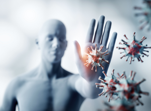 Nuestro sistema inmunitario: un equilibrio invisible en el corazón de la salud