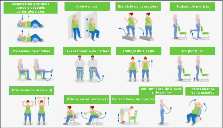 exercices_sportifs