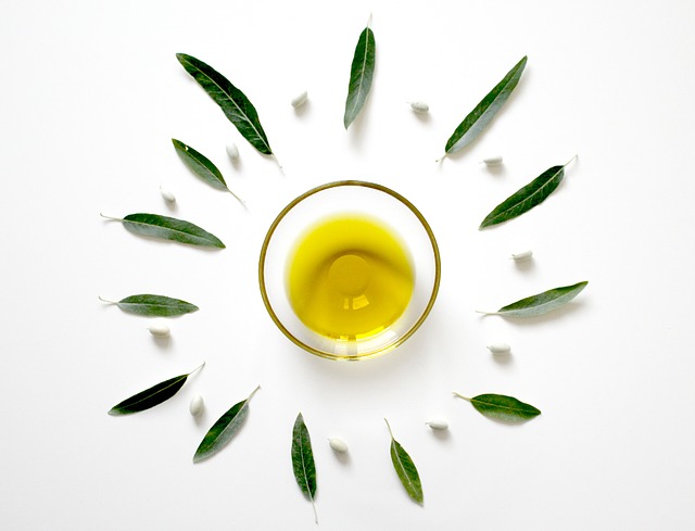 hojas de olivo