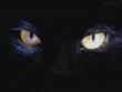 avatar isis13